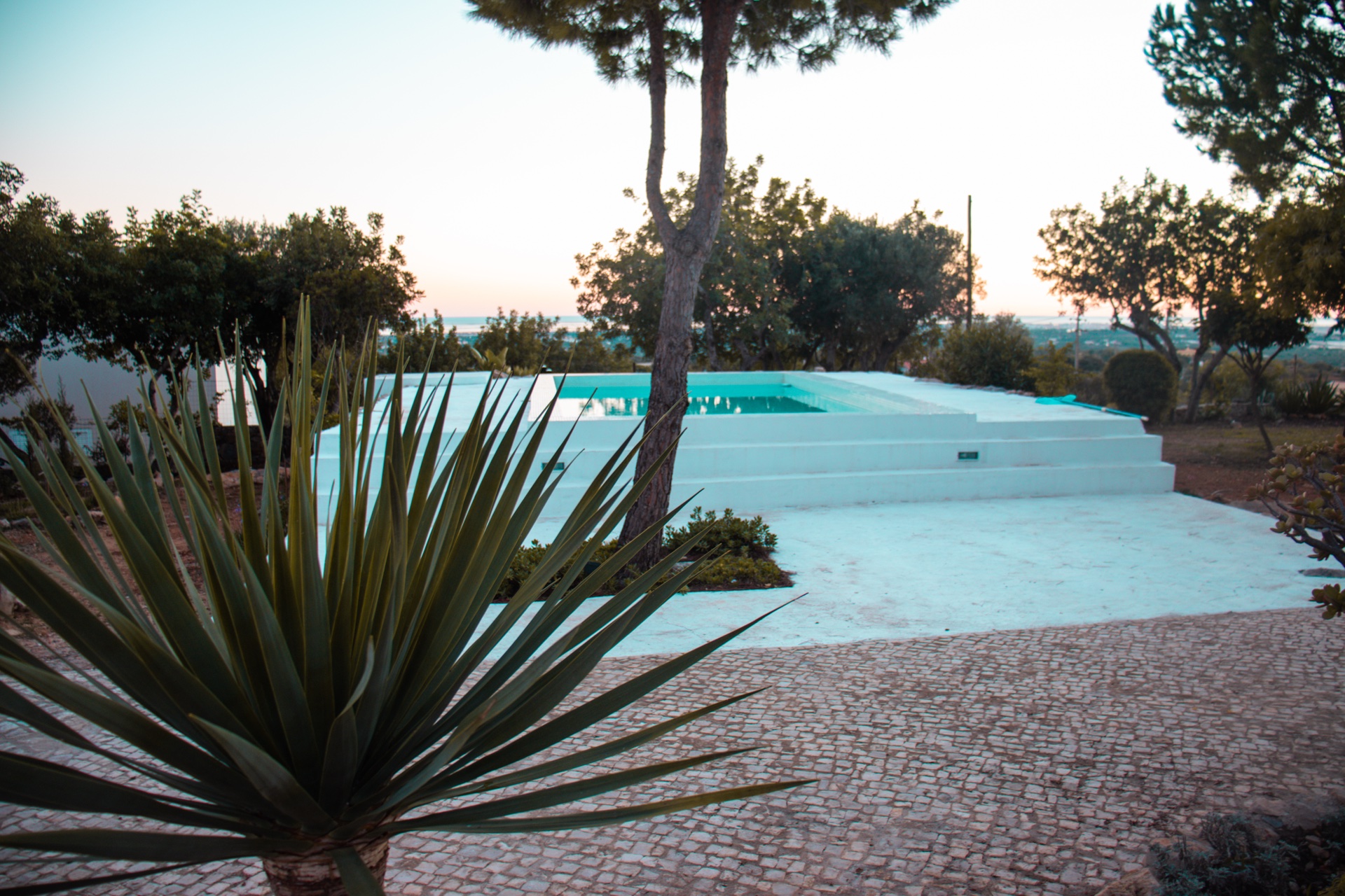 Jardim e piscina